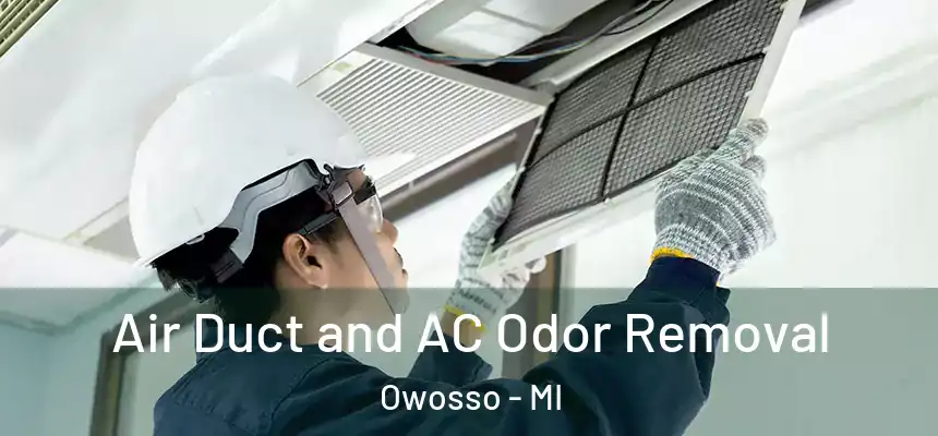 Air Duct and AC Odor Removal Owosso - MI