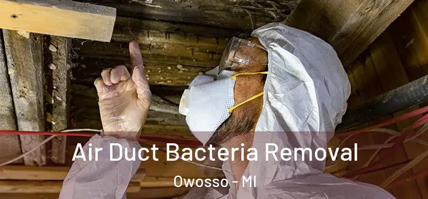 Air Duct Bacteria Removal Owosso - MI