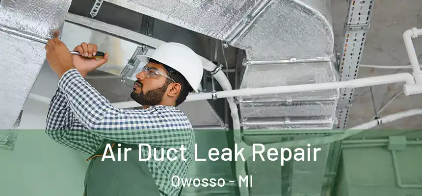  Air Duct Leak Repair Owosso - MI