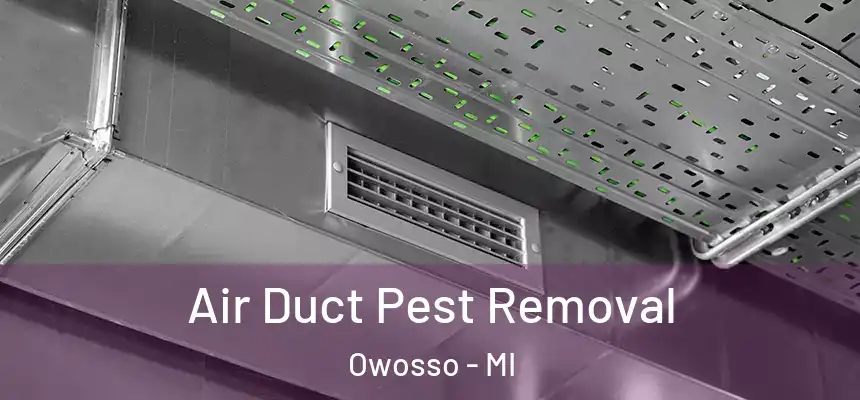 Air Duct Pest Removal Owosso - MI