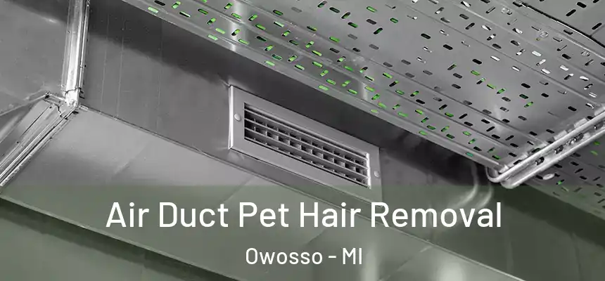  Air Duct Pet Hair Removal Owosso - MI