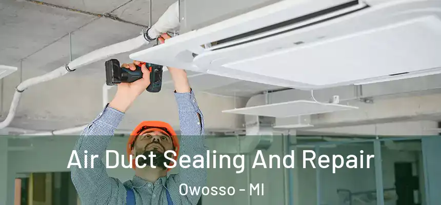  Air Duct Sealing And Repair Owosso - MI