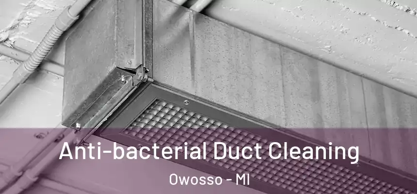  Anti-bacterial Duct Cleaning Owosso - MI