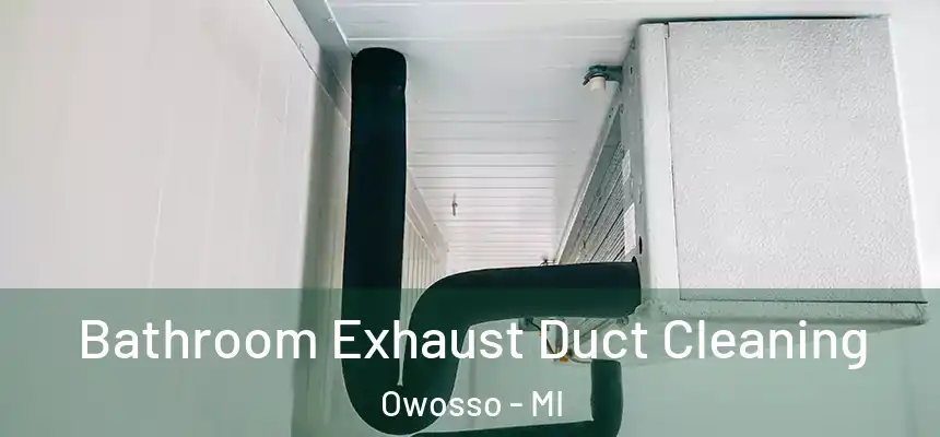  Bathroom Exhaust Duct Cleaning Owosso - MI
