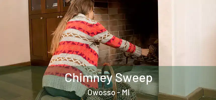  Chimney Sweep Owosso - MI