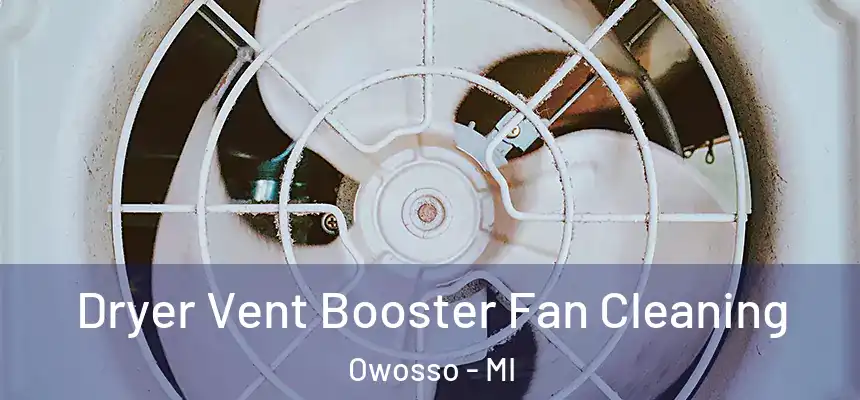 Dryer Vent Booster Fan Cleaning Owosso - MI