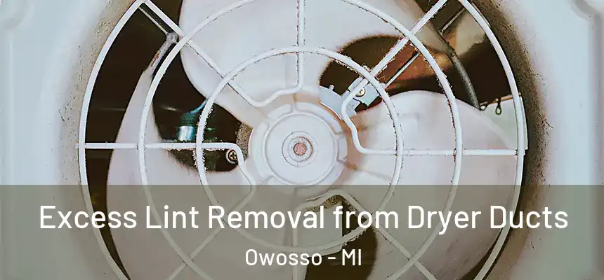  Excess Lint Removal from Dryer Ducts Owosso - MI