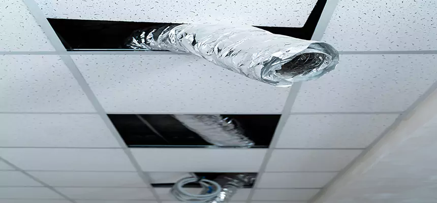 Affordable HVAC Sanitizing After Pest Removal in Owosso