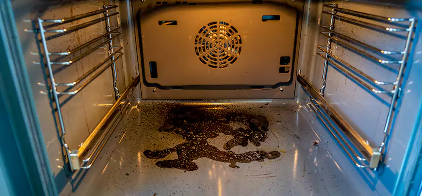 Our Dryer Vent Mold Cleaning Services in Owosso, MI