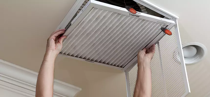 Our Insect Removal from Air Ducts Services in Owosso, MI