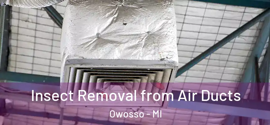 Insect Removal from Air Ducts Owosso - MI