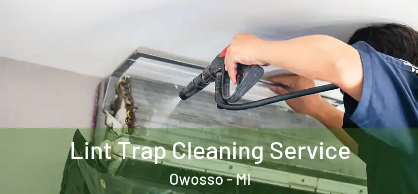  Lint Trap Cleaning Service Owosso - MI