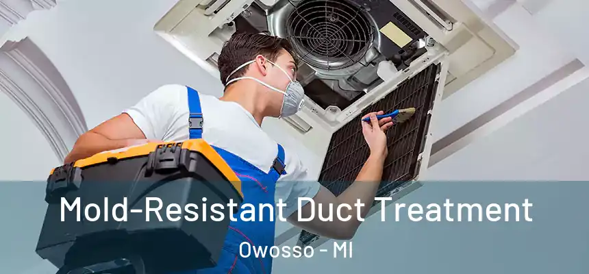  Mold-Resistant Duct Treatment Owosso - MI