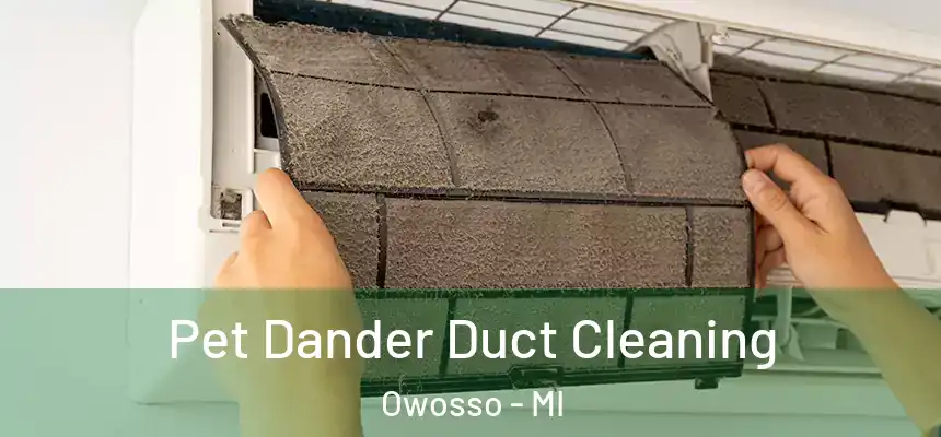  Pet Dander Duct Cleaning Owosso - MI