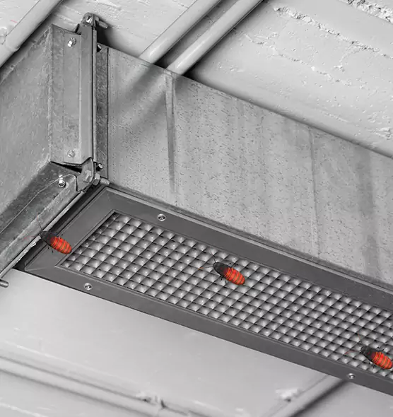 Affordable Insect Removal from Air Ducts in Owosso, MI