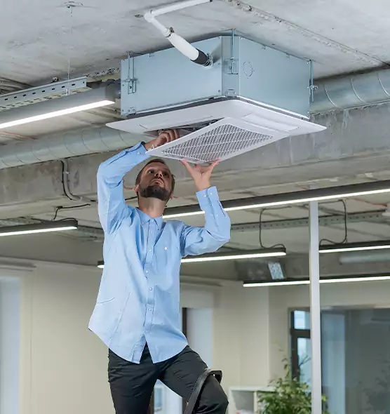 Advanced Rodent Droppings In Vents in Owosso, MI