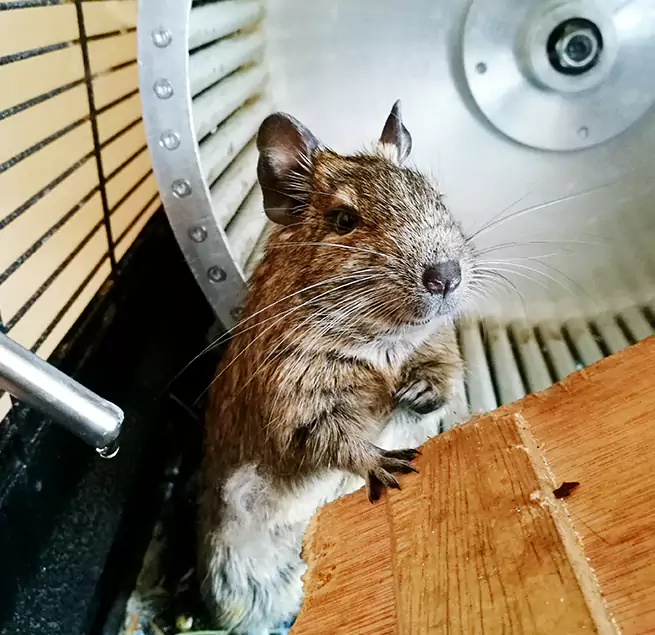 Why Homeowners & Businesses Trust Us Owosso, MI