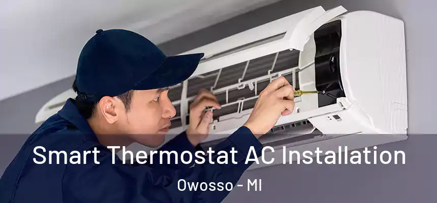 Smart Thermostat AC Installation Owosso - MI